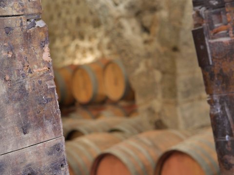 chateau dollieres 15